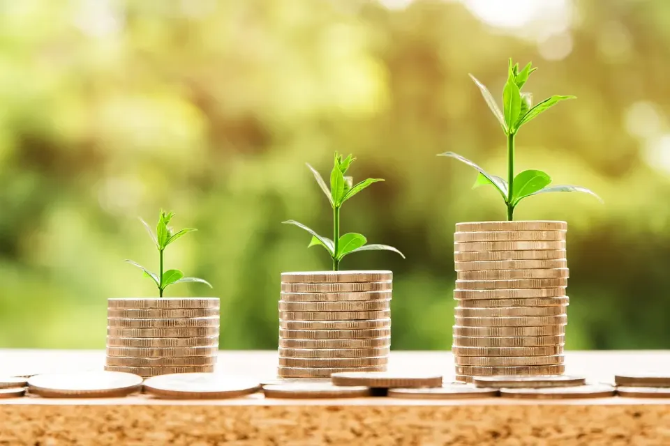 money, profit, finance, business