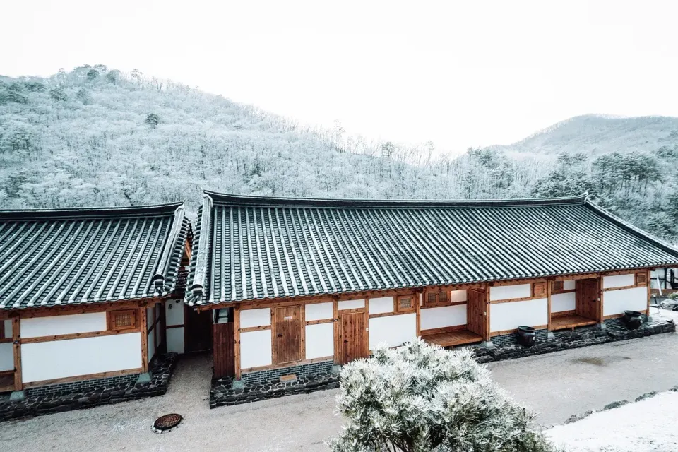 house, building, roof, tradition