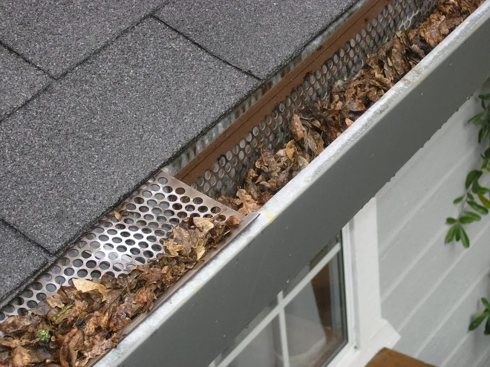 gutter guard ipswich, gutter protection ipswich, gutter covers ipswich, gutter mesh