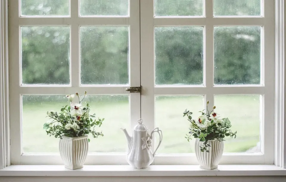 white, window, glass, shield